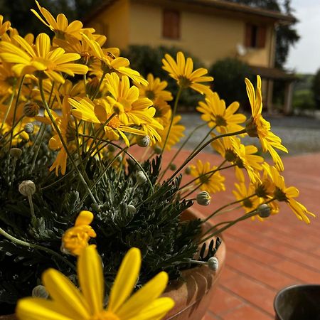 Agriturismo La Cerbana Palaia Eksteriør billede