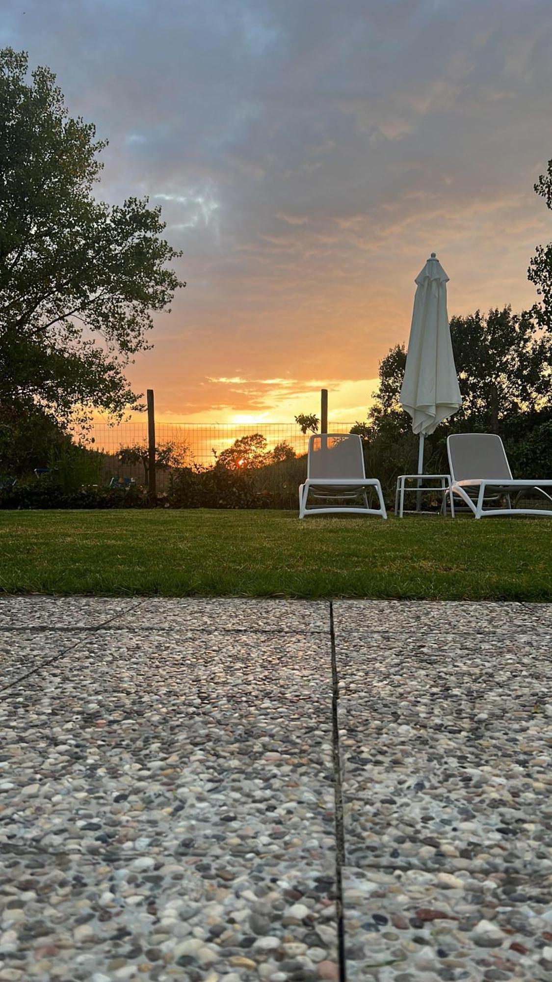 Agriturismo La Cerbana Palaia Eksteriør billede